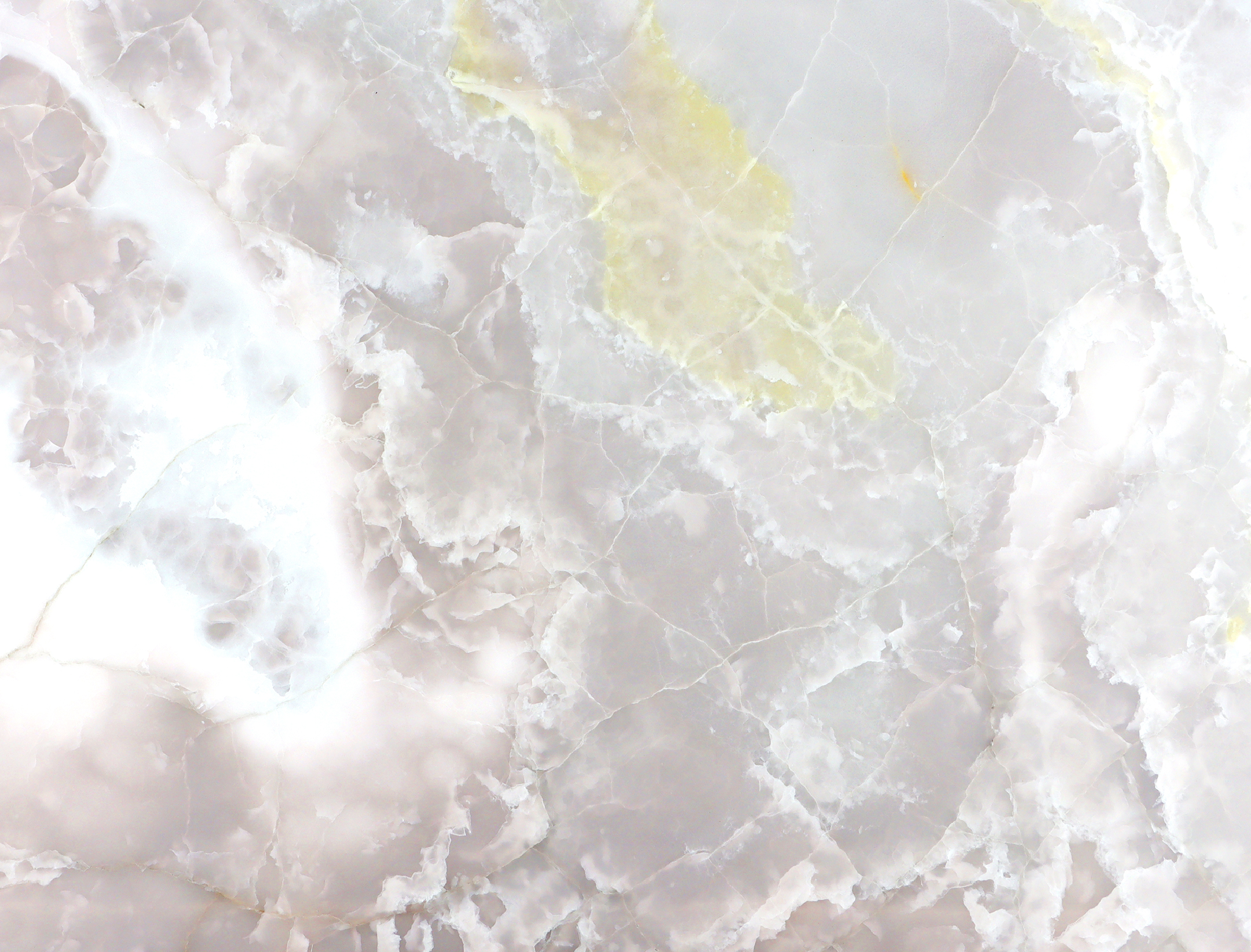 ディオZX-ピンクVer- - Online Shopping One'S&M®
